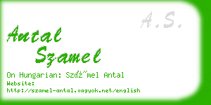 antal szamel business card